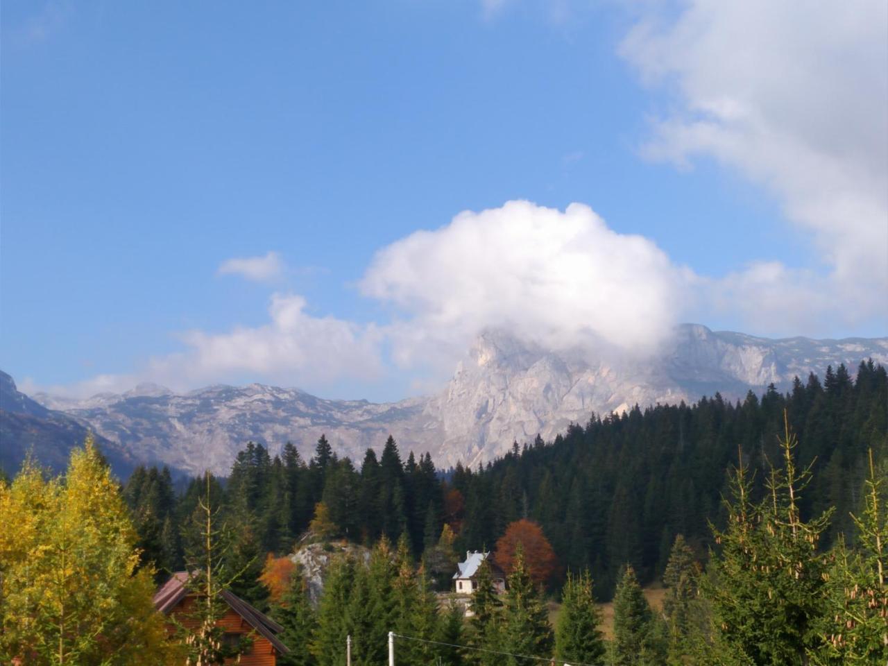 Apartment Durmitor Žabljak Kültér fotó