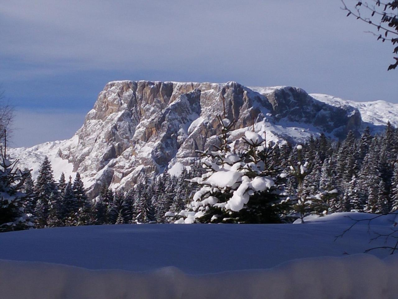 Apartment Durmitor Žabljak Kültér fotó