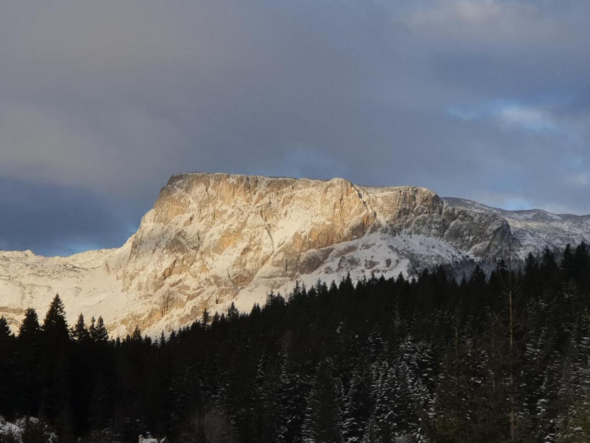 Apartment Durmitor Žabljak Kültér fotó